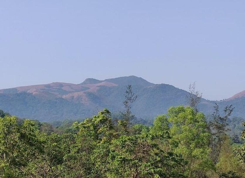 Vista del exterior Foto