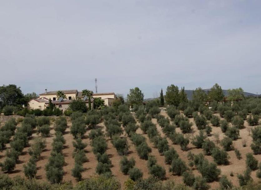 Vista del exterior Foto