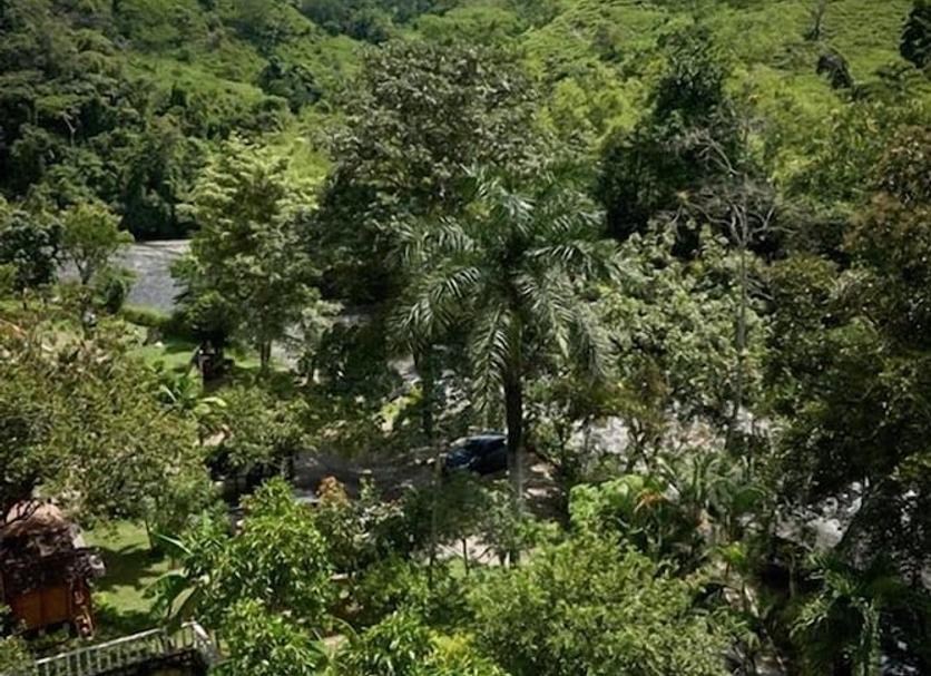 Vista del exterior Foto