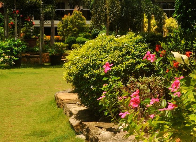 Vista del exterior Foto