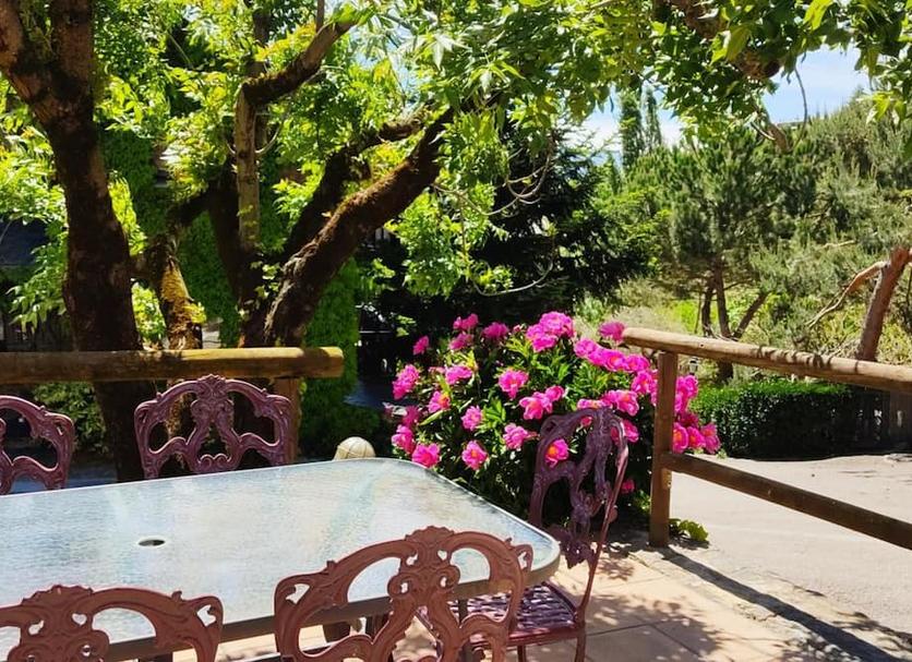 Patio Foto