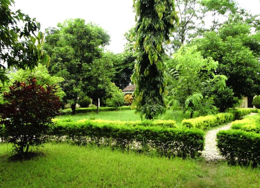 Vista del exterior Foto