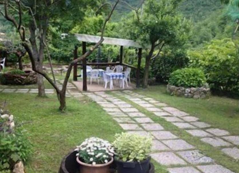 Patio Foto