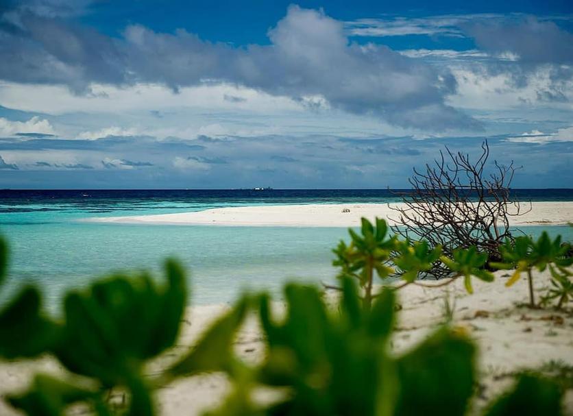 Playa Foto