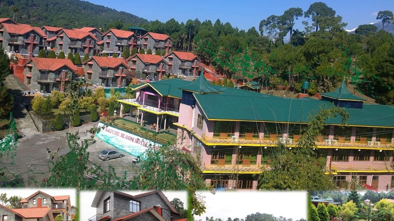 Nature Bloom Dharamshala Hotel And Resort
