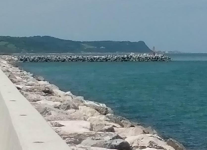 Otros Foto