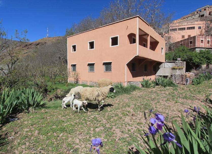 Edificio Foto