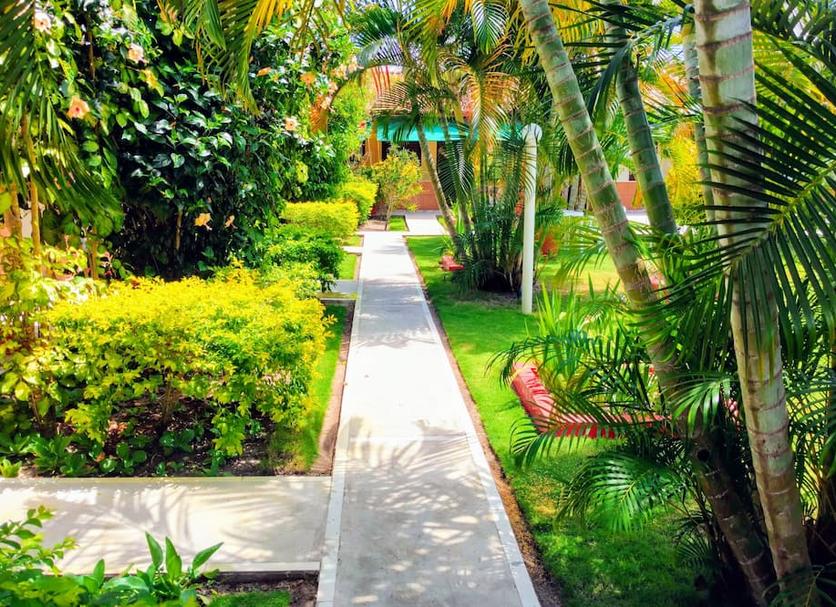 Vista del exterior Foto