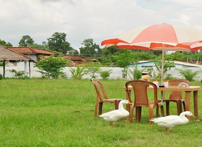 Patio Foto