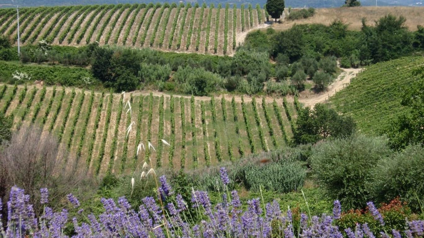 A Little Place In Tuscany Where To Relax