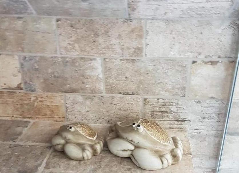 Otros Foto
