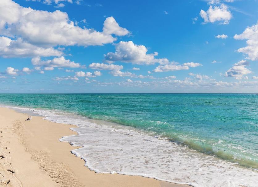 Playa Foto