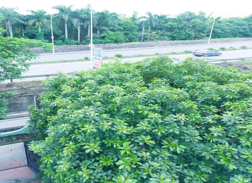 Vista del exterior Foto