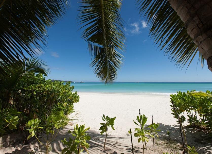 Playa Foto