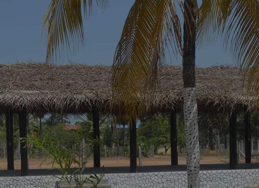 Vista del exterior Foto