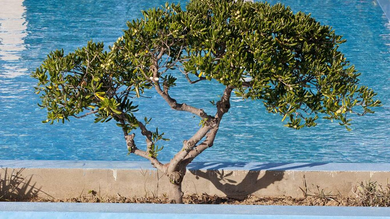 Mrs Chryssana Beach Hotel