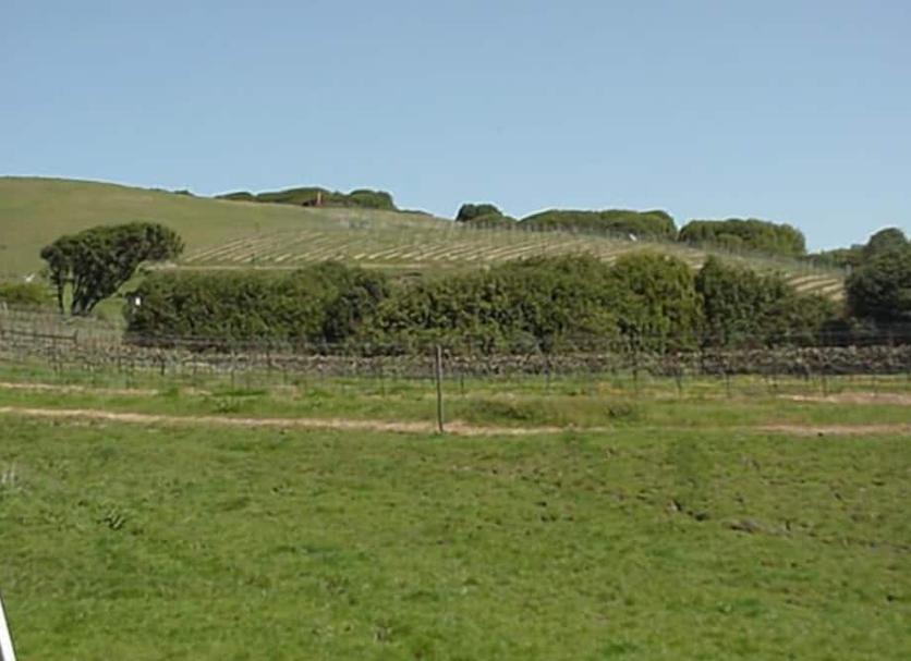 Vista del exterior Foto