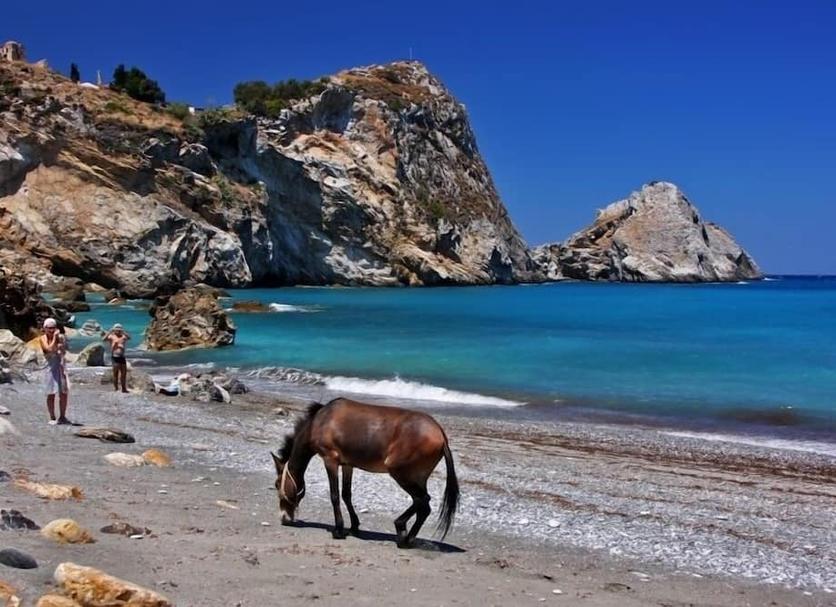 Playa Foto