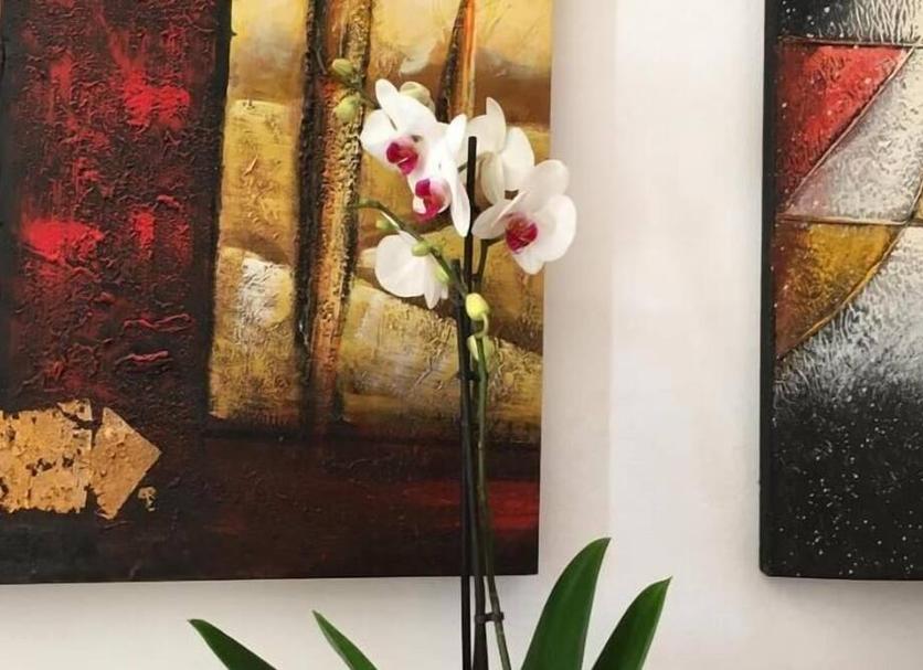 Servicio de la habitación Foto