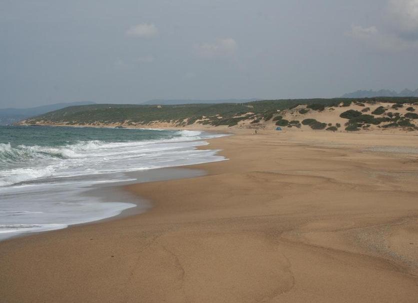Playa Foto