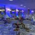 Sala de banquetes