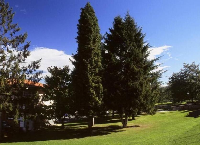 Vista del exterior Foto