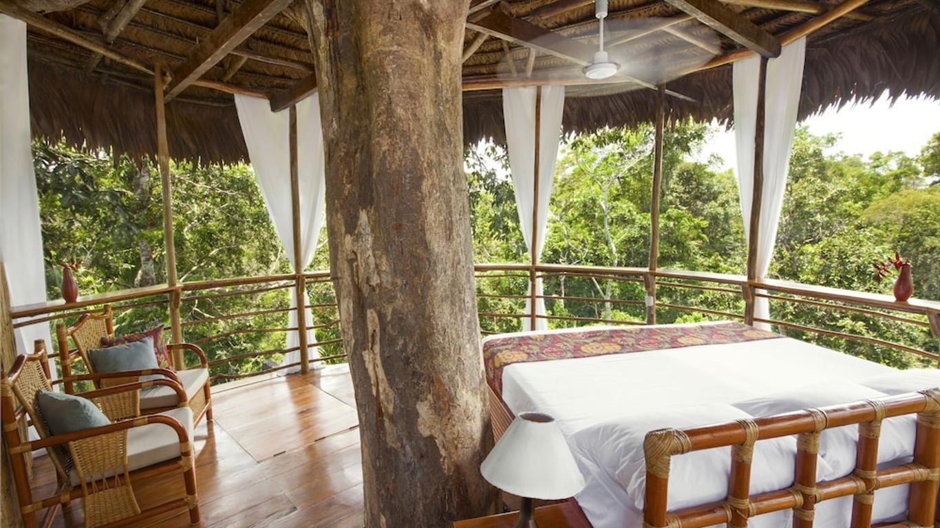 Treehouse Lodge