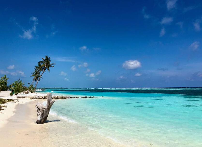Playa Foto