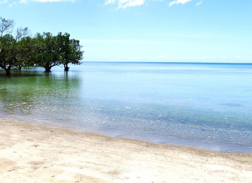 Playa Foto