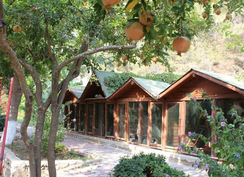 Vista del exterior Foto