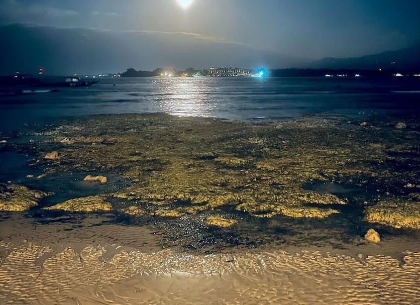 Playa Foto