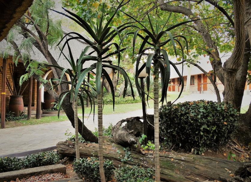 Vista del exterior Foto