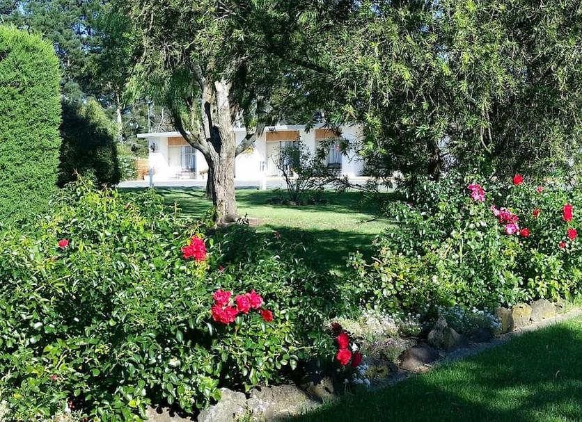Vista del exterior Foto