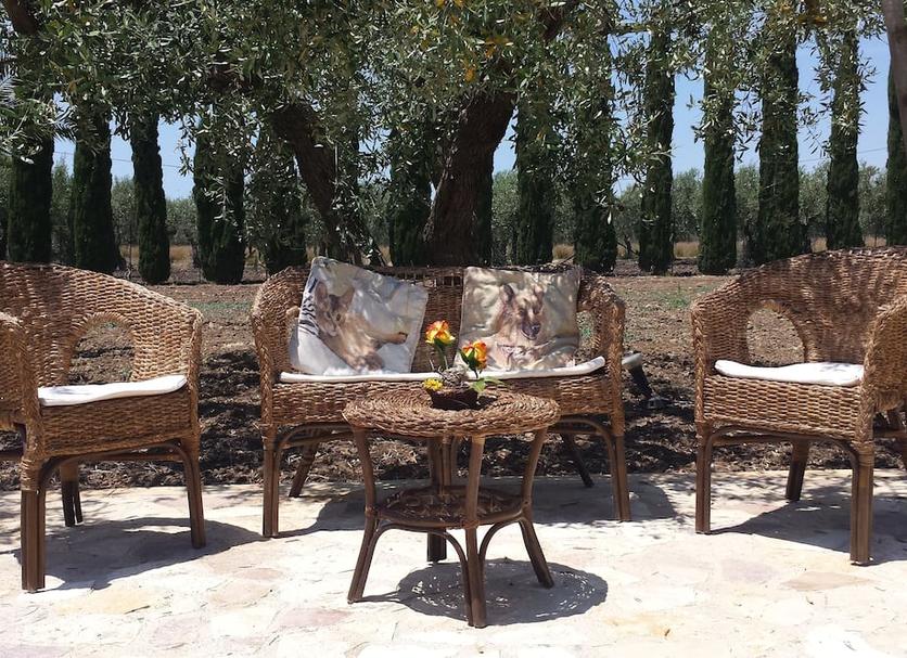 Patio Foto