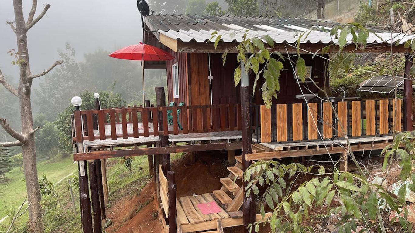 Forest Guesthouse