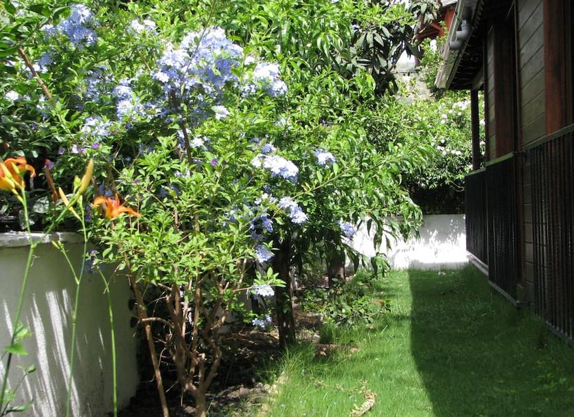 Vista del exterior Foto