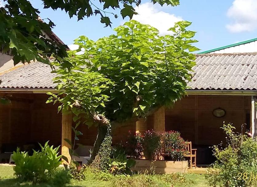 Vista del exterior Foto