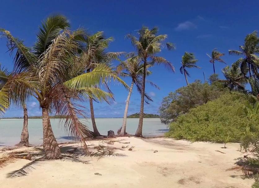 Playa Foto