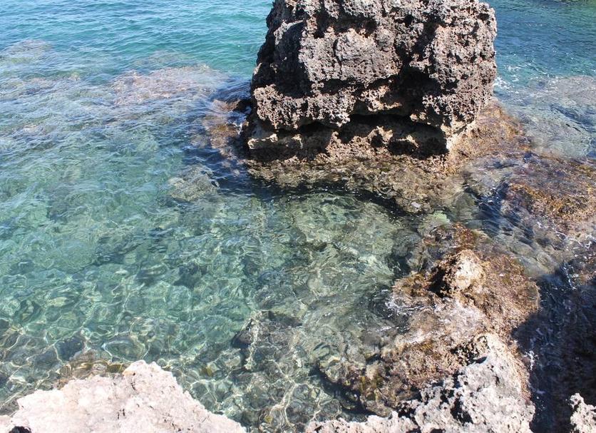 Playa Foto