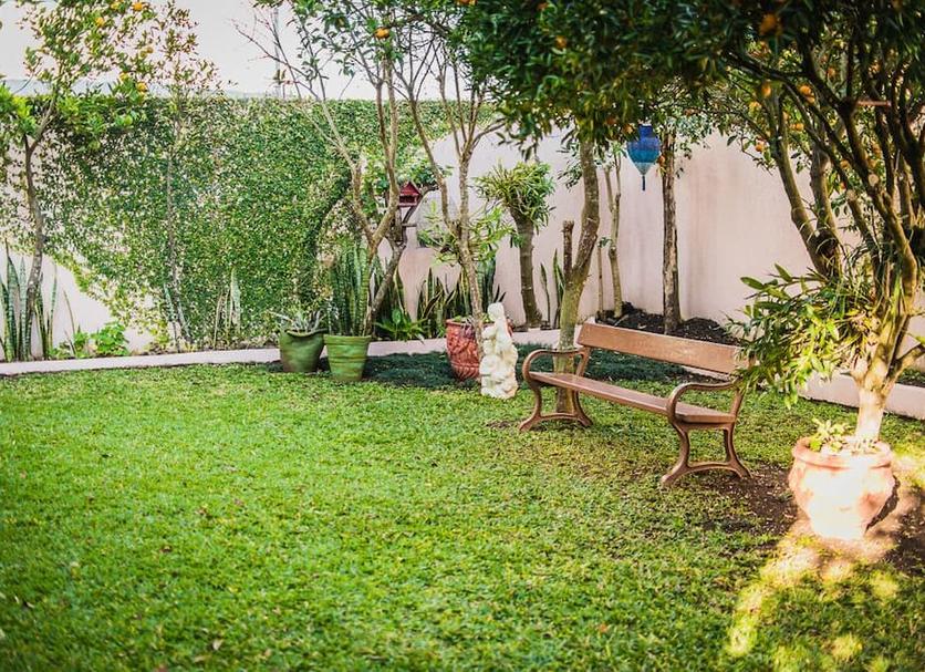 Patio Foto