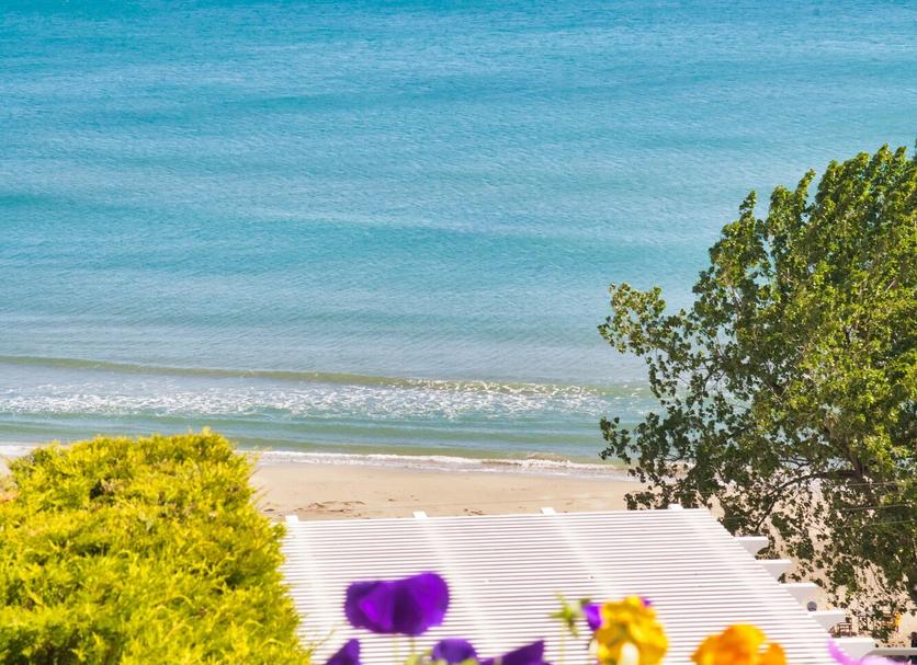 Playa Foto