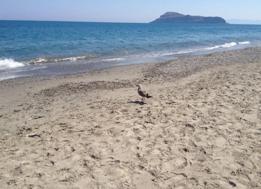 Playa Foto