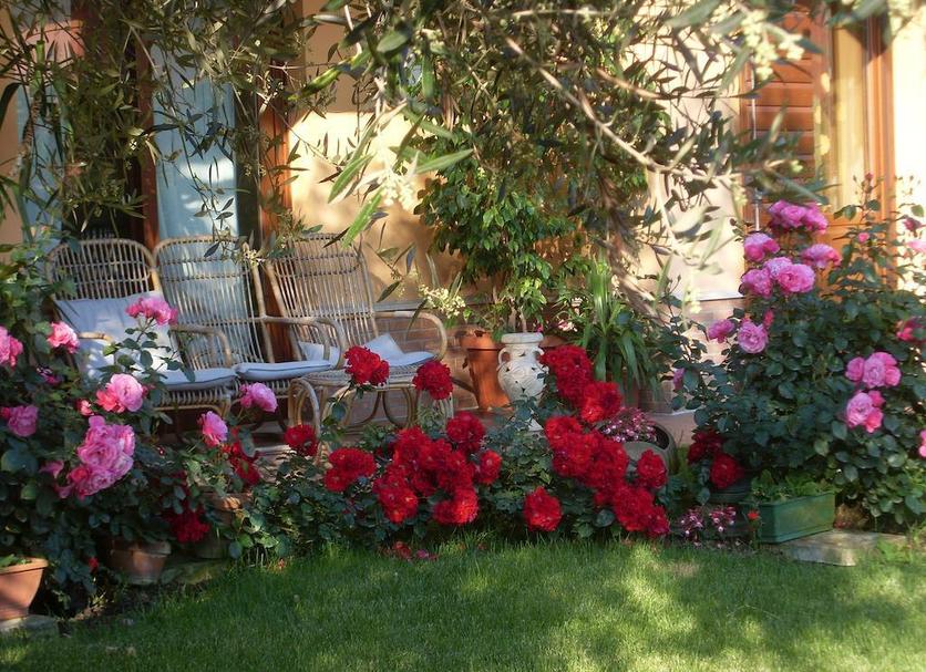 Patio Foto