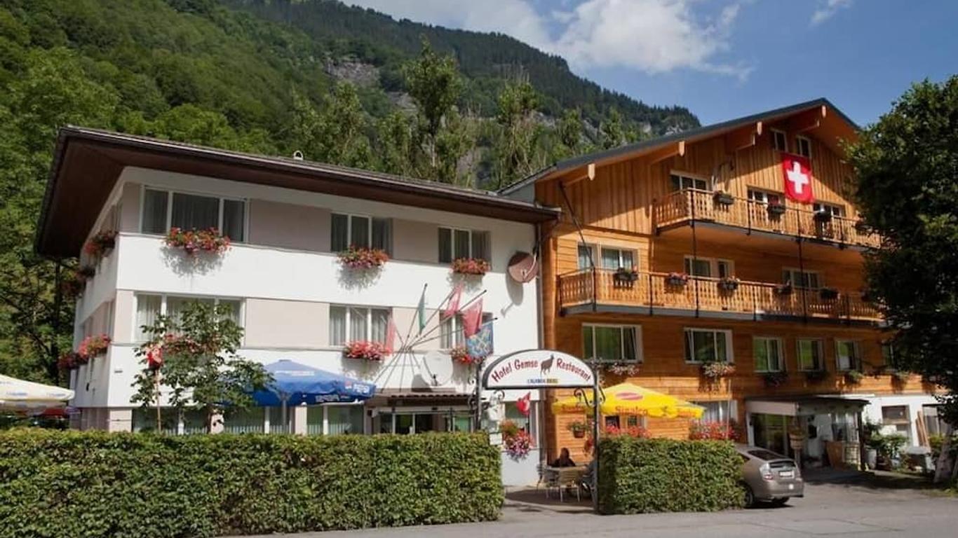 Hotel Gemse