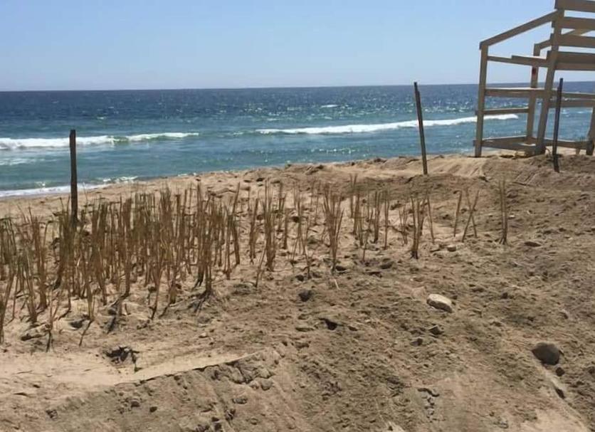 Playa Foto