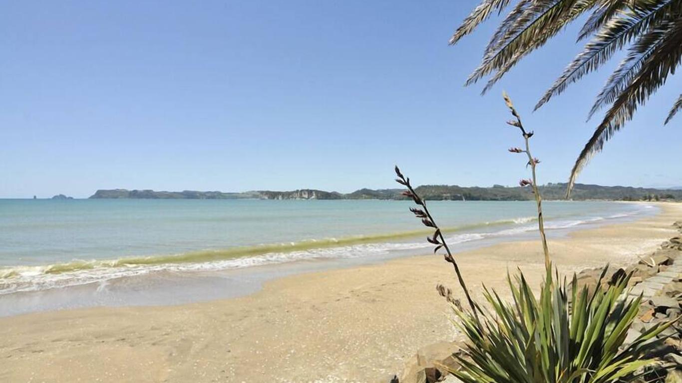 Whitianga Campground