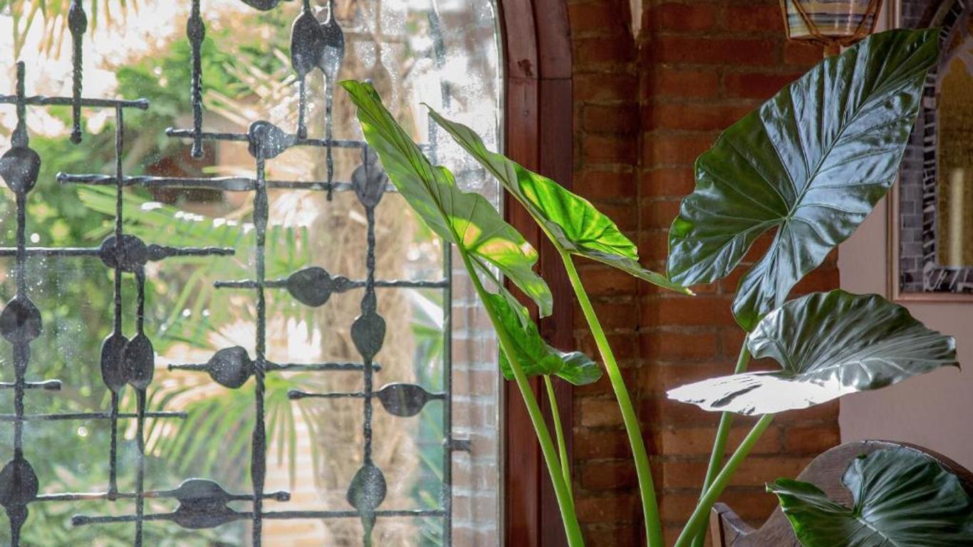 Ca' delle palme