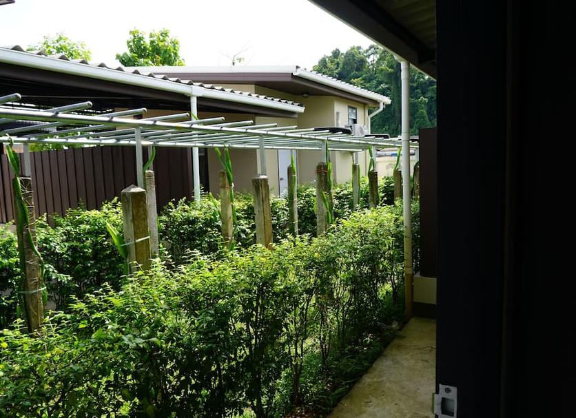 Vista del exterior Foto