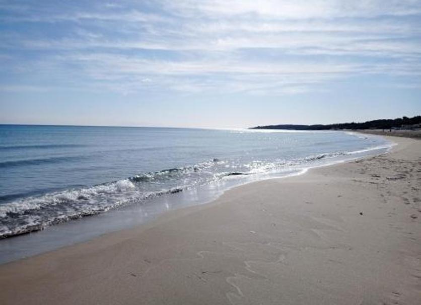 Playa Foto