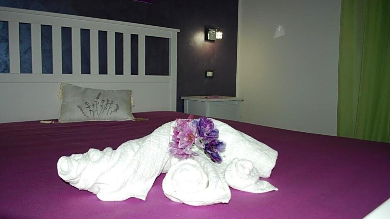 B&B Aurora